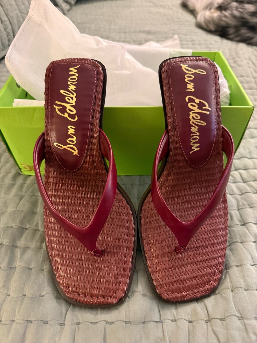 Sam Edelman Dollie Burgundy Woven Thong Sandals